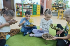 Dzień Drzewa Grupa III i V
