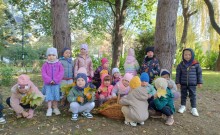 W poszukiwaniu oznak jesieni. Obserwacje przyrodnicze gr II